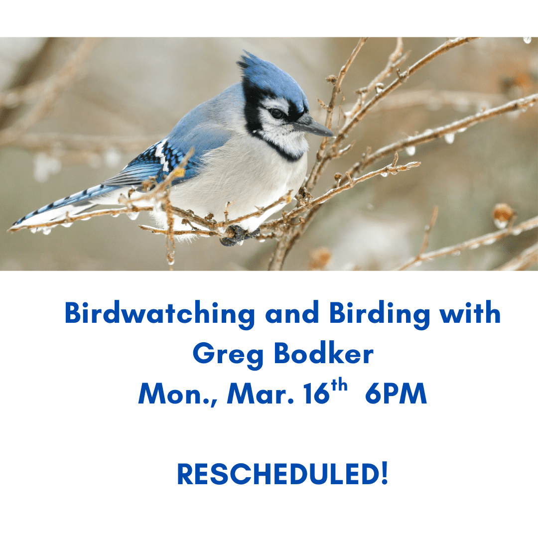 Birdwatching and Birding with Greg Bodker Mon., Mar. 16th 6PM